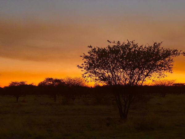 unser 1. afrikanischer Sonnenuntergang