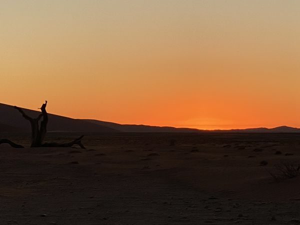 Namib-Sandmeer