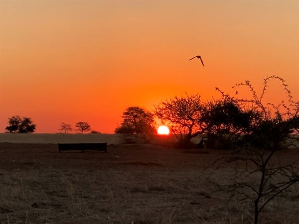 Sonnenuntergang in der Kalahari