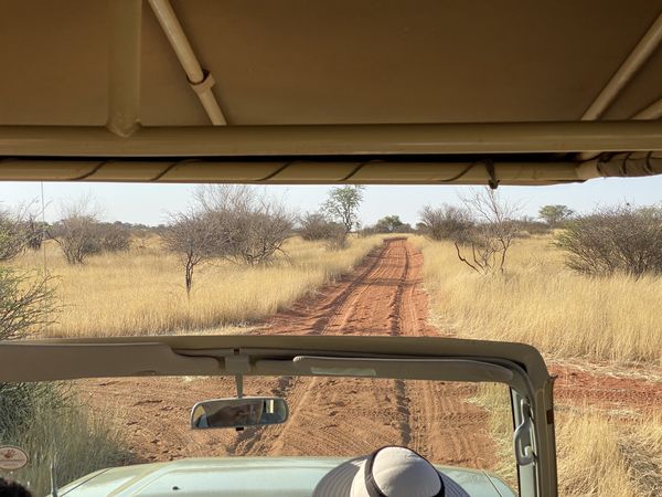 Fahrt durch die Kalahari