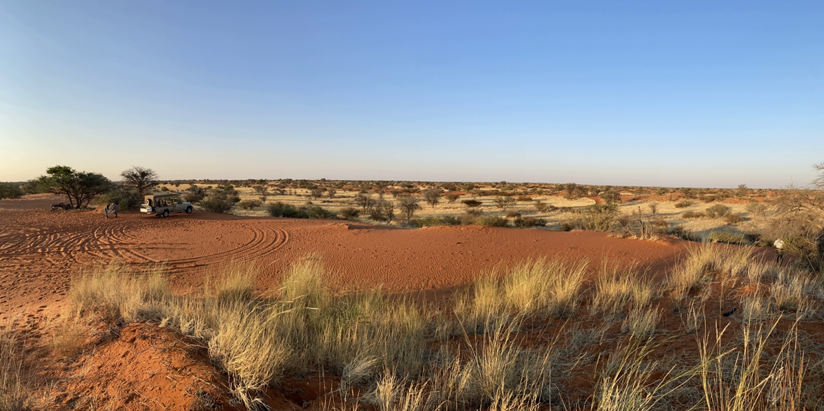 Blick vom Plateau auf die Kalahari kurz vor Sonnenuntergang