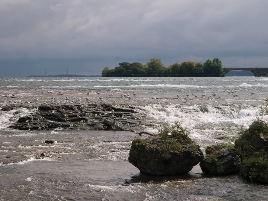 Niagara River - Three Sister Island 