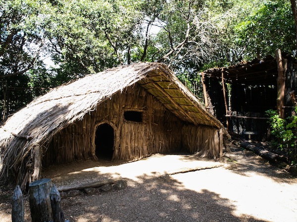 Hütte im Maoridorf