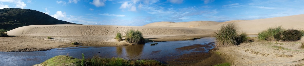 Blick auf Giant Sand Dune