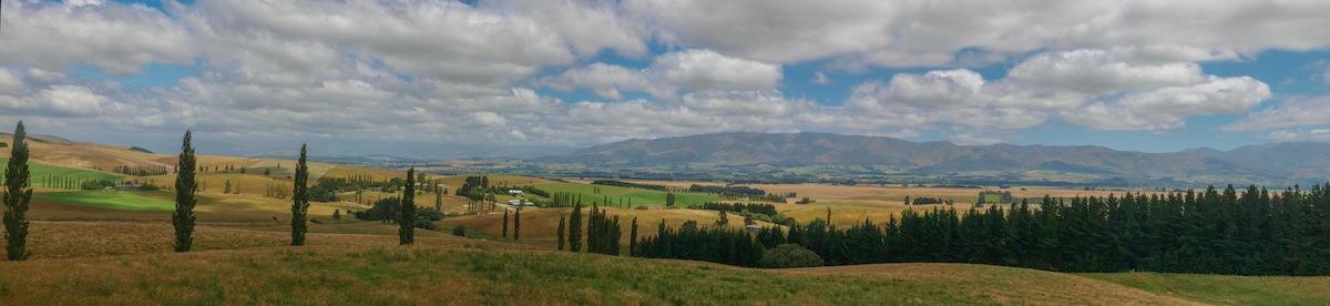 Ausblick auf das Cattle Valley vor Fairlie