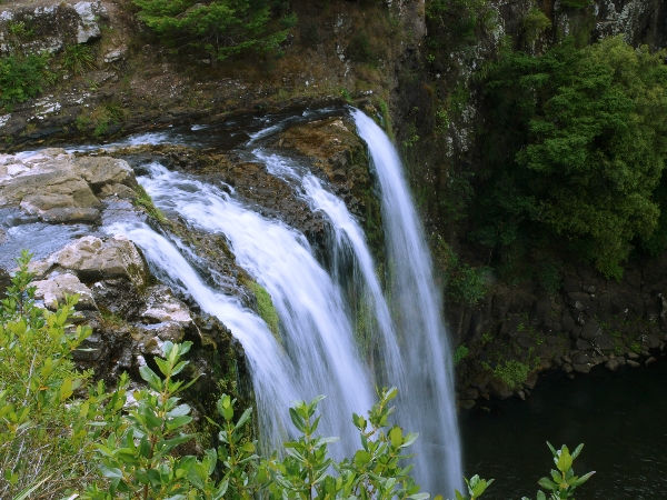 Fallkante der Whangarei Falls