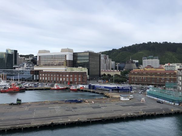  Hafen von Wellington 
