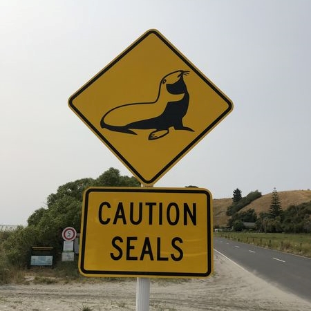 Warnung vor Robben