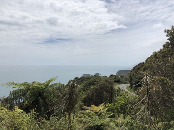 Knights Lookout Point