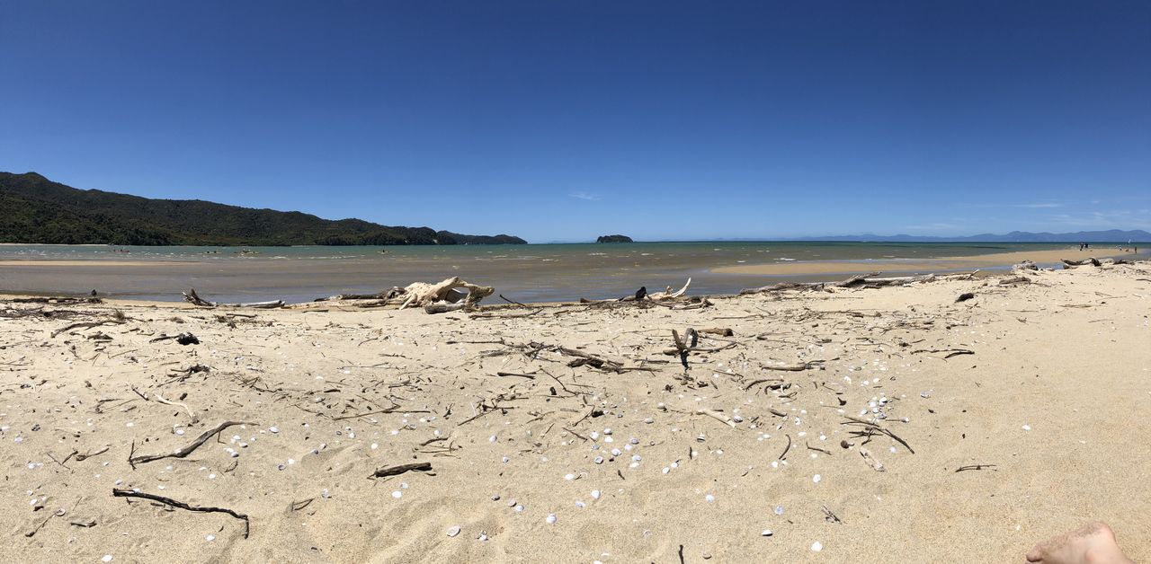 Blick vom Strand auf die Sandy Bay bei ablaufendem Wasser