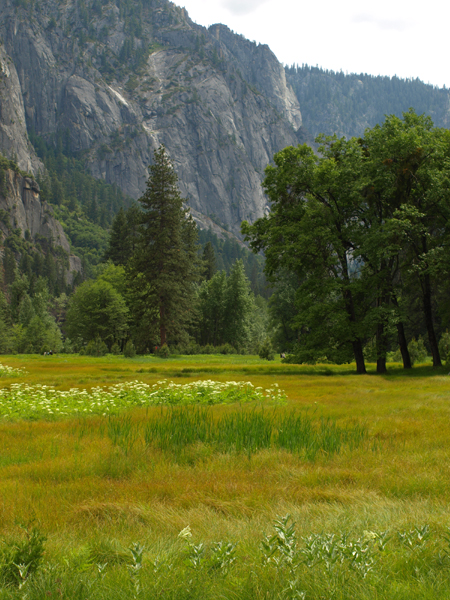  Yosemite Valley