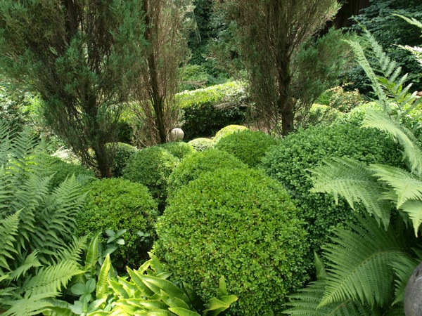 Wildernis im Larmer Tree Garden